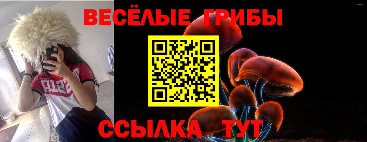 Псилоцибиновые грибы GOLDEN TEACHER  Урай 
